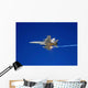 F A-18c Hornet Testing Wall Decal