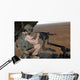 Us Marine Test Firing Wall Decal