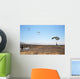 Freefall Parachute Jumpers Approaching Wall Decal