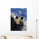 Gunners Mate Firing 50 Wall Decal