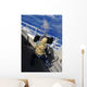 Gunners Mate Firing 50 Wall Decal