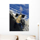 Gunners Mate Firing 50 Wall Decal