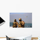 Seals aboard Rigid-hull Inflatable Wall Decal