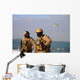 Seals aboard Rigid-hull Inflatable Wall Decal