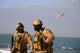 Seals aboard Rigid-hull Inflatable Wall Decal