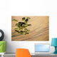 Pallets Cargo Dropping from Wall Decal
