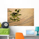 Pallets Cargo Dropping from Wall Decal
