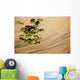 Pallets Cargo Dropping from Wall Decal