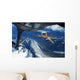 Us Air Force F-15c Wall Decal