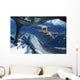 Us Air Force F-15c Wall Decal