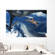 Us Air Force F-15c Wall Decal