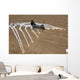 Us Marine Corps Ch-46 Wall Decal Design 3