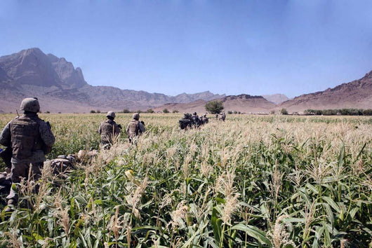 Soldiers Walking through Wheat Wall Decal