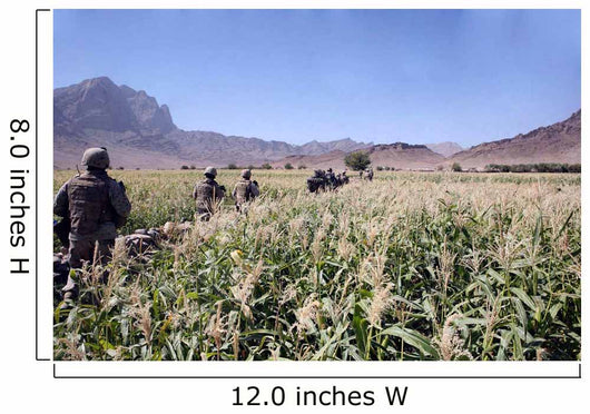 Soldiers Walking through Wheat Wall Decal