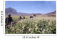 Soldiers Walking through Wheat Wall Decal