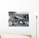Ov-1d Mohawk Display Wall Decal