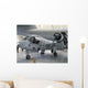 Ov-1d Mohawk Display Wall Decal