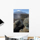 Marines Fire M2 50 Wall Decal