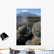 Marines Fire M2 50 Wall Decal