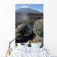 Marines Fire M2 50 Wall Decal
