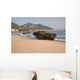 Amphibious Assault Vehicles Push Wall Decal