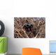 Scout Observer Practices Observation Wall Decal Design 1