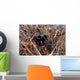 Scout Observer Practices Observation Wall Decal Design 1