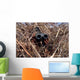 Scout Observer Practices Observation Wall Decal Design 1