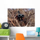 Scout Observer Practices Observation Wall Decal Design 1