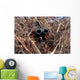 Scout Observer Practices Observation Wall Decal Design 1