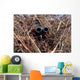 Scout Observer Practices Observation Wall Decal Design 1