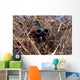 Scout Observer Practices Observation Wall Decal Design 1