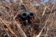 Scout Observer Practices Observation Wall Decal Design 1
