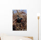 Scout Observer Practices Observation Wall Decal Design 2