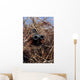 Scout Observer Practices Observation Wall Decal Design 2