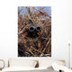 Scout Observer Practices Observation Wall Decal Design 2