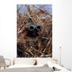 Scout Observer Practices Observation Wall Decal Design 2