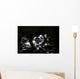 Us Army Specialist Adjusts Wall Decal