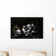 Us Army Specialist Adjusts Wall Decal