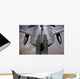Us Air Force F-22 Wall Decal Design 2