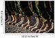 Afghan National Army Air Wall Decal