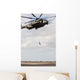 Air Force Pararescueman Conducts Wall Decal