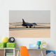 B-1b Lancer Takes off Wall Decal