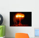 Operation Upshot Knothole Climax Wall Decal