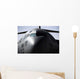 Close-up Front C-17 Globemaster Wall Decal