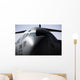 Close-up Front C-17 Globemaster Wall Decal