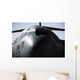 Close-up Front C-17 Globemaster Wall Decal