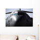 Close-up Front C-17 Globemaster Wall Decal