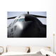 Close-up Front C-17 Globemaster Wall Decal