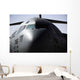 Close-up Front C-17 Globemaster Wall Decal